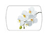 Стол обеденный раздвижной Танго белый/Орхидея